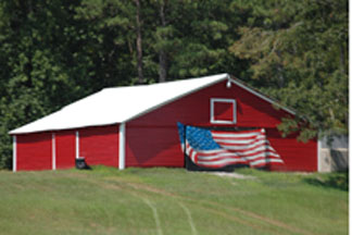 MountainTopMastiffsBarn